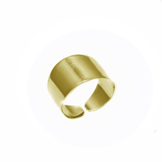 Γυναικείο Δαχτυλίδι Ντεγκραντέ Ασήμι 925 Επιχρυσωμένο 107101748.101